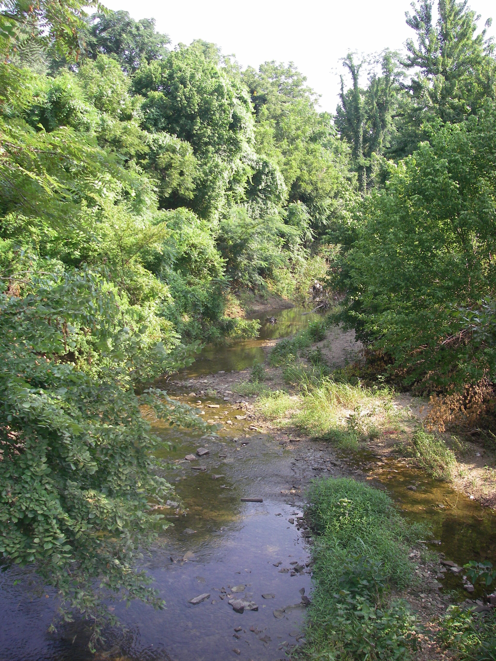 GCSA Brochure: Ecology of a Healthy Stream