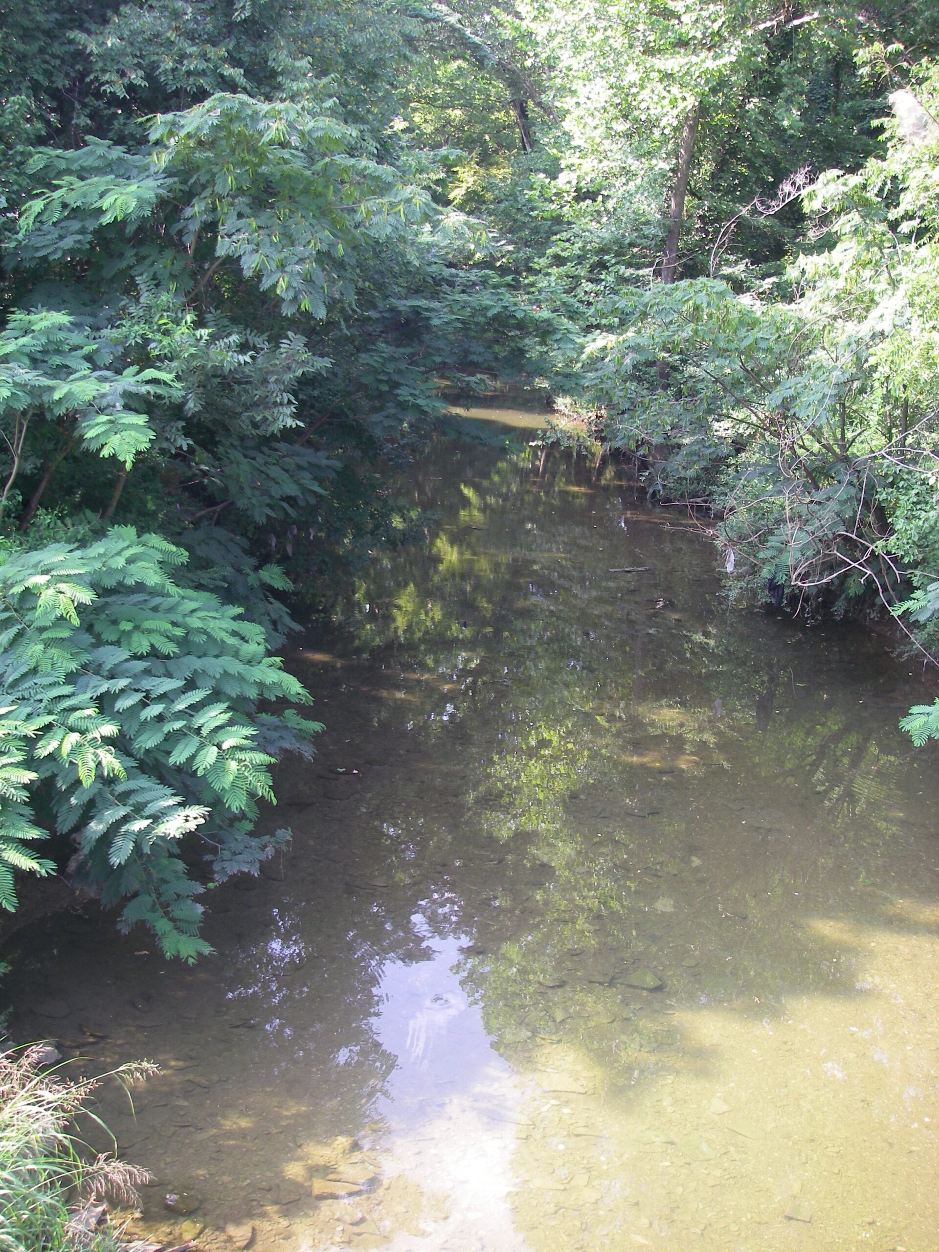 GCSA Brochure: Riparian Areas