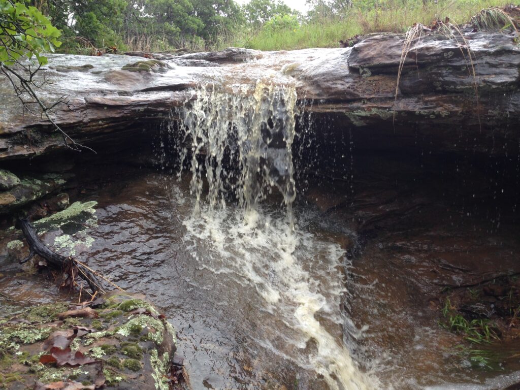 Stormwater Runoff in a creek.