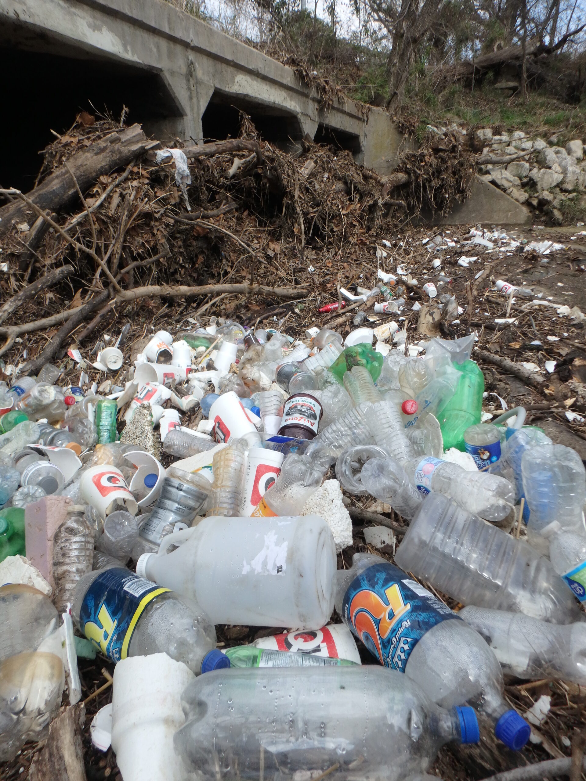 GCSA Brochure: What Pollutes Local Water?